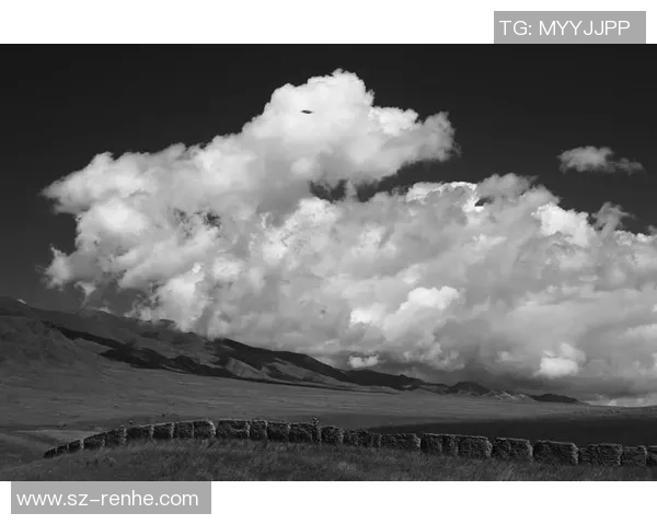足球的灵魂之旅：深入探讨北京足球队的战术与精神内涵