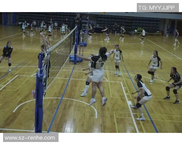 排球意识排行榜揭晓北京排球队荣登榜首引发热议